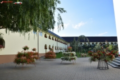 Mănăstirea Dumbrava 10