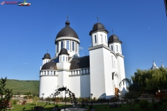 Mănăstirea Dumbrava 28