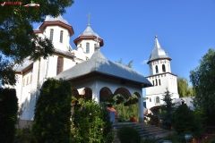 Mănăstirea Dumbrava 36