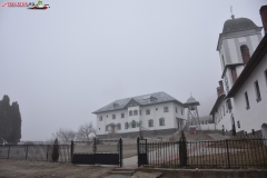 Mănăstirea Frăsinei 04