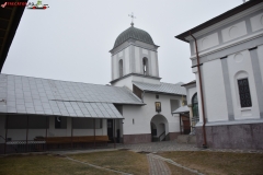 Mănăstirea Frăsinei 07