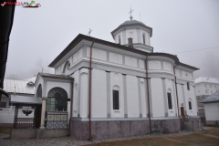 Mănăstirea Frăsinei 19