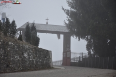 Mănăstirea Frăsinei 26