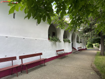 Mănăstirea Gai 25