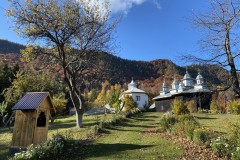 Mănăstirea Găvanu 26