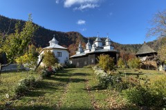 Mănăstirea Găvanu 82