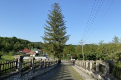 Mănăstirea Govora 39