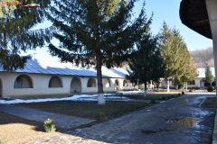 Mănăstirea Grăjdeni 07