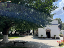 Mănăstirea Hodoș Bodrog 36