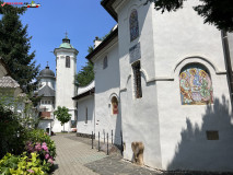 Mănăstirea Hodoș Bodrog 60