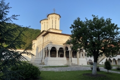 Mănăstirea Hurezi 80