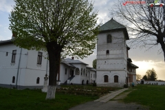 Manastirea Jitianu 8