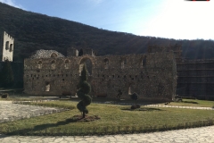 Manastirea Manasija serbia 04