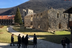 Manastirea Manasija serbia 19