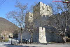 Manastirea Manasija serbia 22