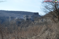 Manastirea Manasija serbia 29