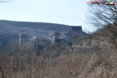 Manastirea Manasija serbia 31