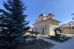 Mănăstirea Negru Vodă 05