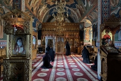 Mănăstirea Paltin Petru Vodă 10