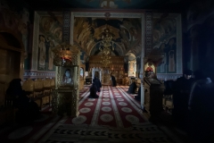 Mănăstirea Paltin Petru Vodă 11