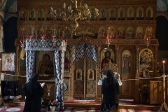 Mănăstirea Paltin Petru Vodă 14