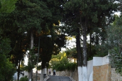Manastirea Panagia Theotokos Insula Corfu 10