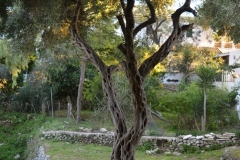 Manastirea Panagia Theotokos Insula Corfu 12
