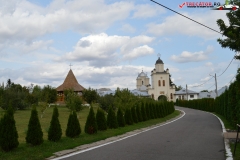 Mănăstirea Pasărea 04