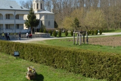 Manastirea Pestera Sf Andrei 33