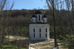 Manastirea Pestera Sf Andrei 42