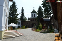Mănăstirea Plumbuita 19