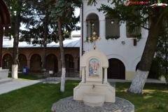 Mănăstirea Plumbuita 31