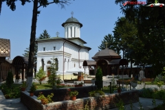 Mănăstirea Plumbuita 38