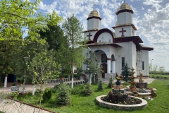 Mănăstirea Radu Negru 14