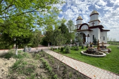 Mănăstirea Radu Negru 15