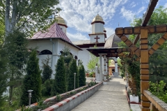 Mănăstirea Radu Negru 36