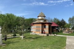 Mănăstirea Radu Negru 45