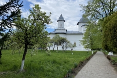 Mănăstirea Răducanu 03