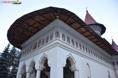 Mănăstirea Râmeț 15