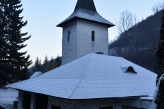 Mănăstirea Râmeț 39