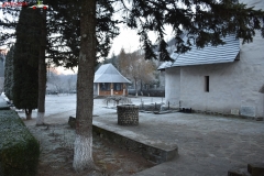 Mănăstirea Râmeț 43