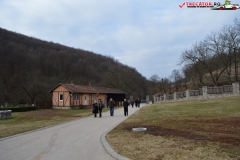 Manastirea Ravanica serbia 21