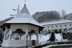 Mănăstirea Rebra-Parva 45
