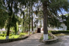 Mănăstirea Robaia 12