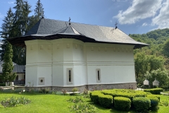 Mănăstirea Robaia 46