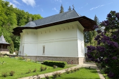 Mănăstirea Robaia 50