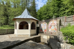 Mănăstirea Robaia 56