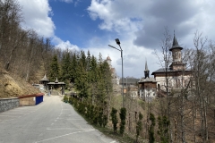 Mănăstirea Rohia 04