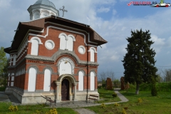 Manastirea Sadova 21