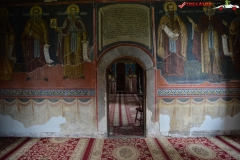 Manastirea Sadova 23